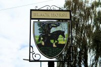 Close up picture of the Black horse Sign note Somercotes on the shield