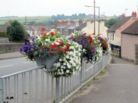 Flower display provided by Somercotes Parish Council  2013