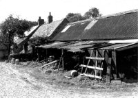 Pennytown Farm