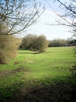 Lower Birchwood the site of one of the old Collieries