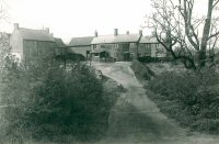 Pennytown Cottages. The date of the photograph is not known.