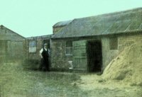 A photograph of Pennytown Farm, possibly taken in the 1960s