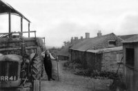 This photograph was taken of Pennytown Farm. The date is not known.Note Dog sat on Tractor