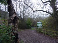 Pennytown Nature Reserve, 2013