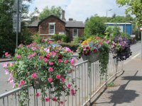 Floral display on the canal bridge at Main Road, Pye Bridge, 2013 - supplied by Somercotes Parish Council