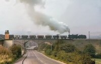 Photograph of a coal train crossing Pye Bridge viaduct 1960's. The cottage on the left of the photograph was demolished around the 1970s. This view looks down Jubilee Hill towards Pye Bridge.