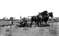 Hay Bailing, Furnace Row, Lower Somercotes early 1900's