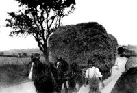 Chamberlain's Farm, Hay Wagon approaching Furnace Row, Lower Somercotes