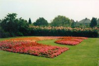 Flower Beds on the Somercotes Recreation Ground