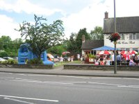 The Cotes Park summer of 2014, bouncing castle provided for kids entertainment