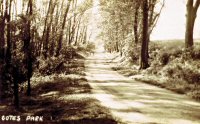 Postcard of Cotes Park Woods leading to Pennytown